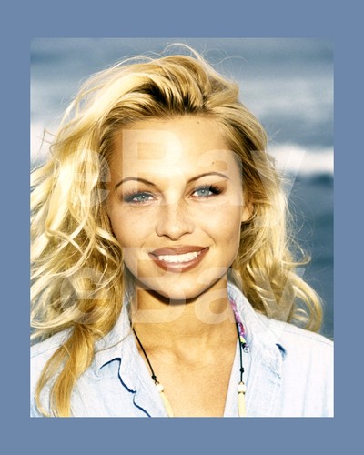 Pamela anderson 16x12 photo - anderson,