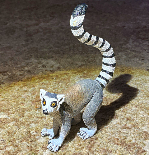 Ring tailed lemur safari - ring, ltd