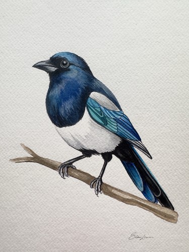Original magpie watercolor - magpie,