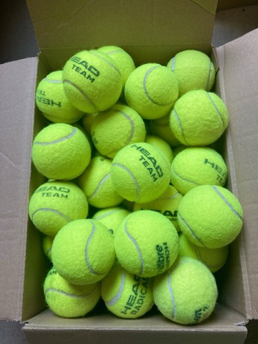 Used tennis balls - tennis,