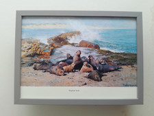 David Shepherd print 'Elephant