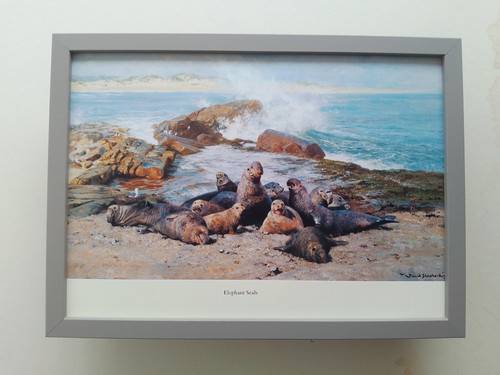 David shepherd print - david,
