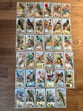 Wills birds of - wills,