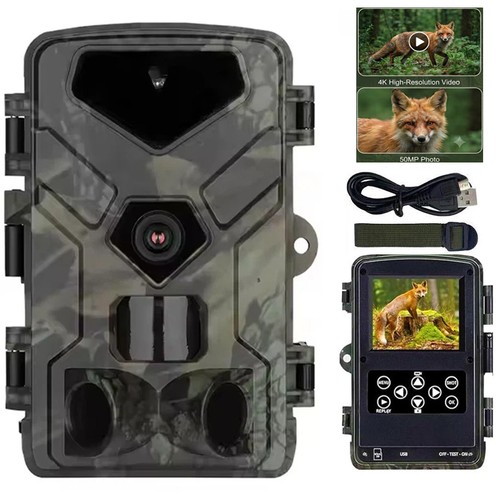 Wildlife trail camera - trail, 4k