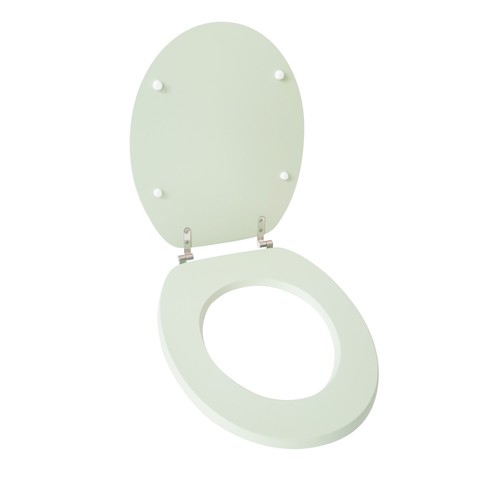 New sage toilet - sage,
