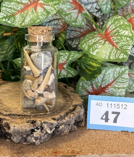 Fossil mix glass - mix, bottle