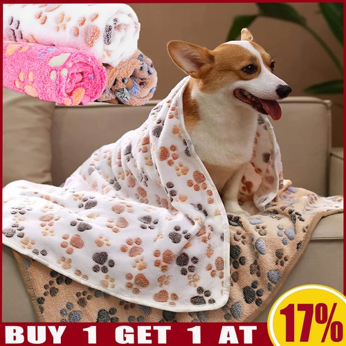 Large pet dog cat - large, puppy