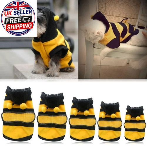 Bee pet puppy coat - bee, apparel