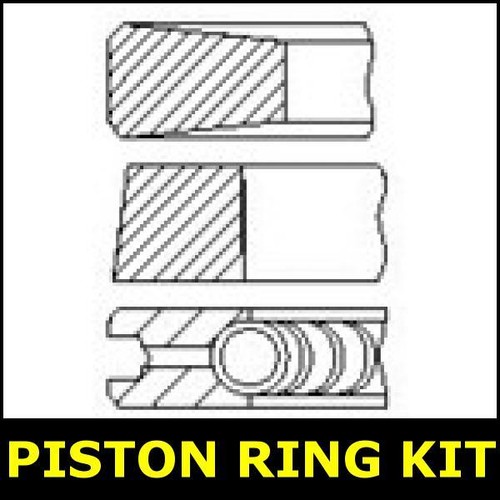 Piston ring kit fits - piston,