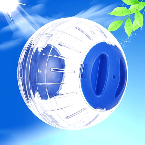 Hamster exercise ball - exercise,