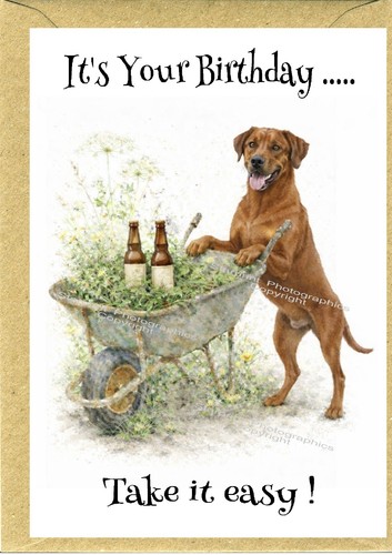 Rhodesian ridgeback dog - rhodesian,