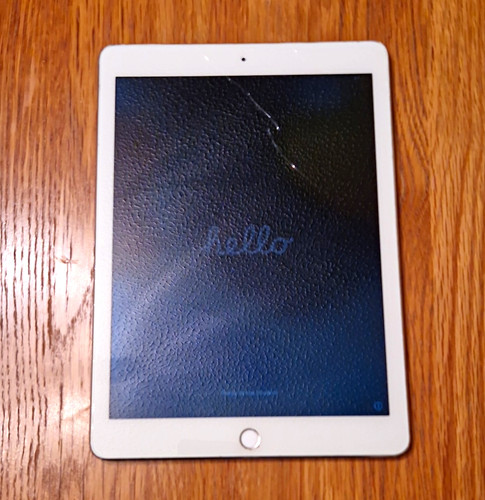 Apple ipad mini - apple, 16gb