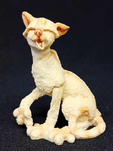 Breed apart cream tabby - breed, cat