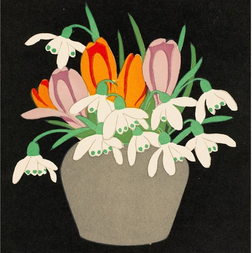 Crocus and snowdrops john - crocus,