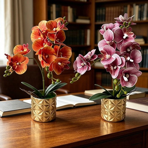 Phalaenopsis orchid replica - phalaenopsis, 12