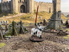 PRO PAINTED 15mm Medieval