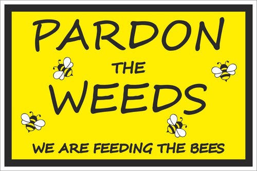 Pardon the weeds feeding - pardon,