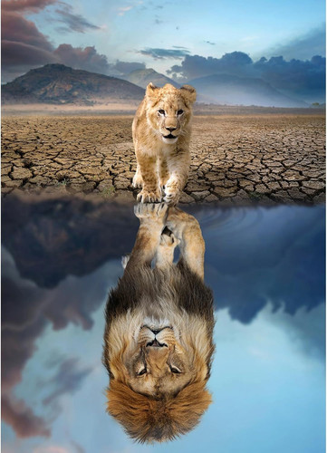 Huadada jigsaw puzzles - huadada,