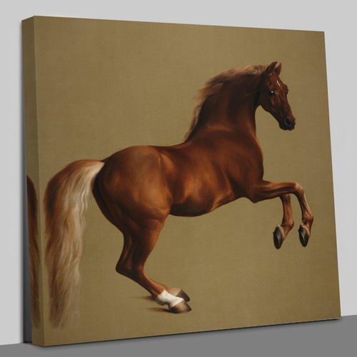 Whistle jacket george stubbs