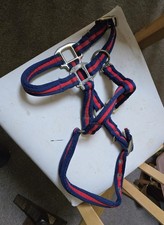 Be Kind Halter, Size Pony In Red. Very Good Condition