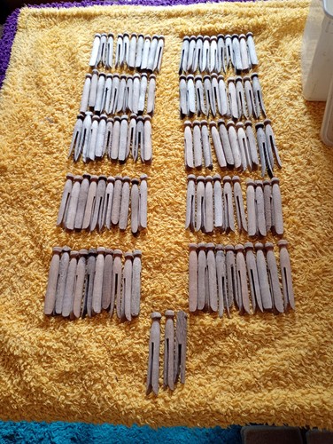 Traditional wooden dolly pegs - wooden,