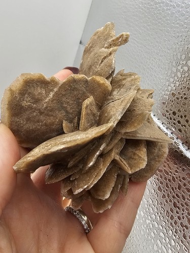 Large selenite desert - large,