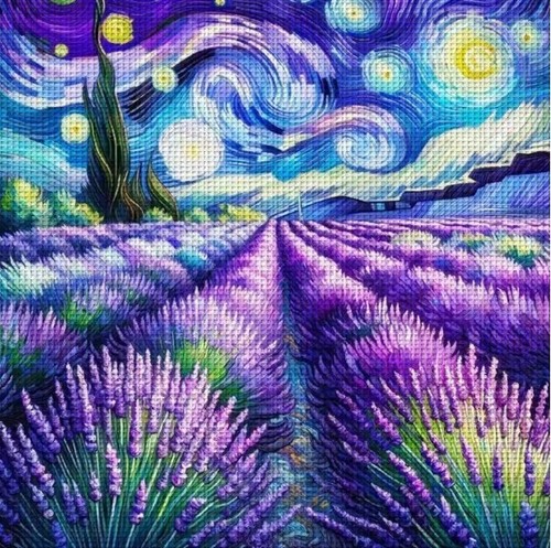 Starry sky over lavender - starry,