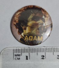 Adam & the Ants/ Adam Ant
