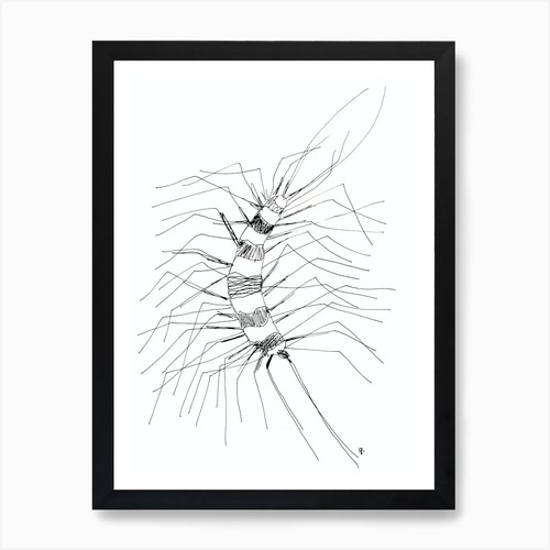 Minimalist scolopendra white - minimalist,