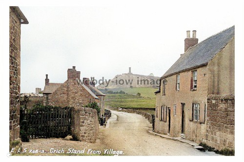 Ptc1189 crich stand - ptc1189,