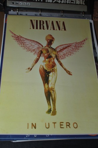 Nirvana punk poster a3 - ,
