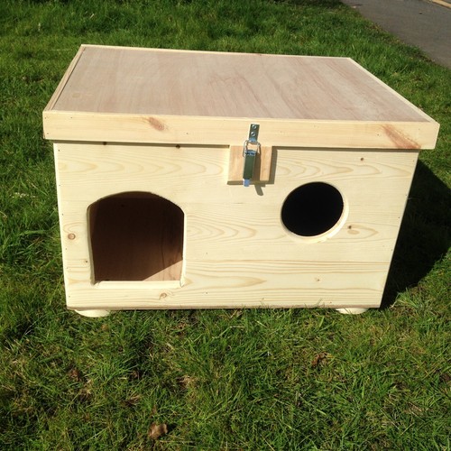 Rabbit digging box bunny digg - rabbit,