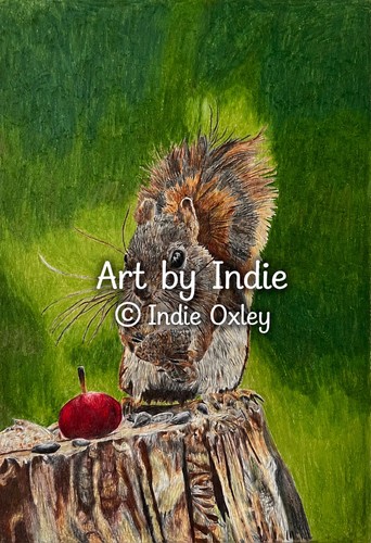 Squirrel log print - on,