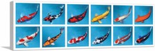 Artcanvas koi carp fish - carp, bekko