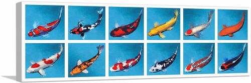 Artcanvas koi carp fish bekko - artcanvas,