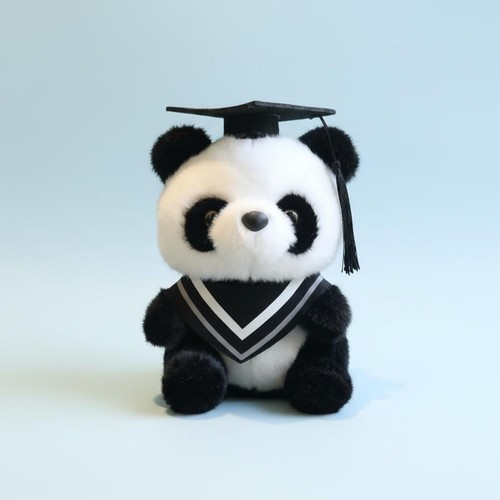 Pieces graduation panda - 2,