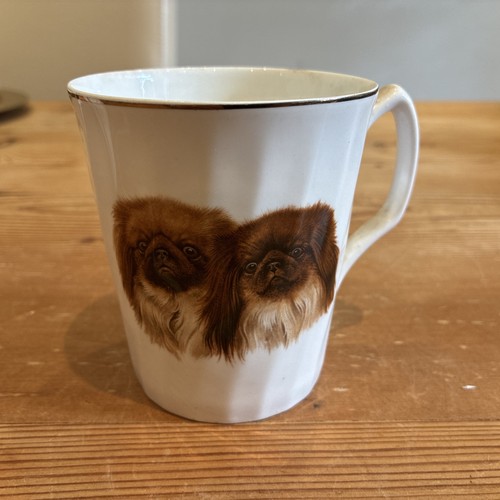 Pekingese dog mug english bone - english,