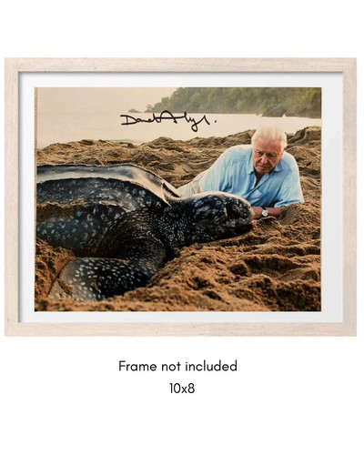 David attenborough hand signed - david,