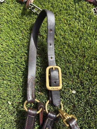 Walsh leather halter - walsh,