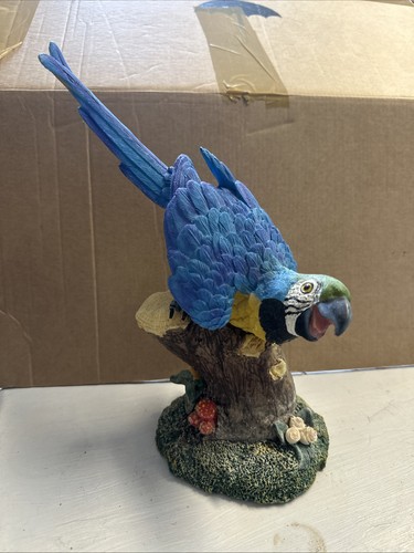 Large blue yellow macaw - macaw, on
