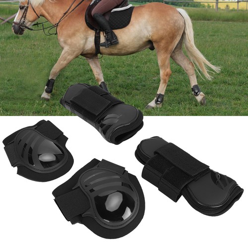 Training jumping horse - training,