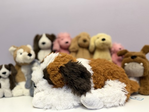 Jellycat very rare retired - rare,