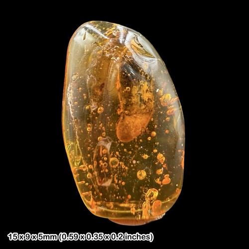 Baltic amber fossil - baltic, false