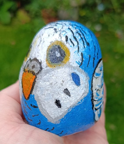 Painted budgie stone rock - rock, blue