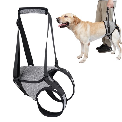 Senior dog lifting harness - senior,