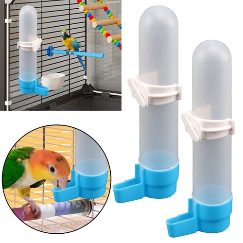 Bird water feeder automatic - water,