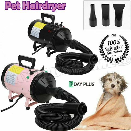 Pet blow dryer dog - pet,