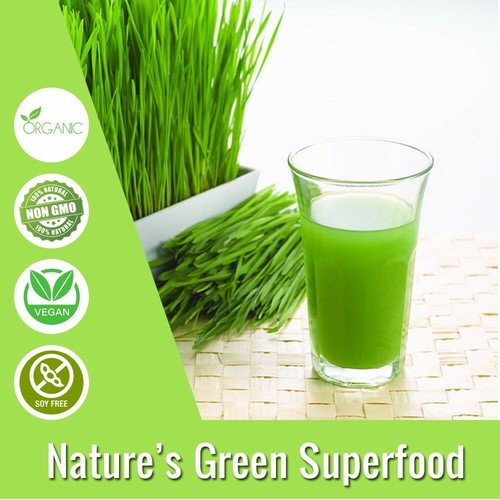 Organic wheatgrass juice - wheatgrass,