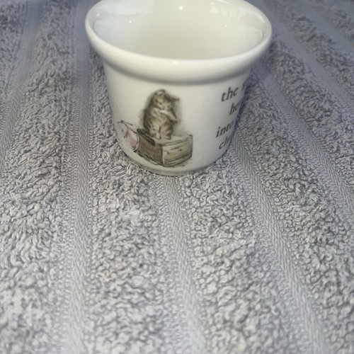 Wedgwood tom kitten - tom, bertrix