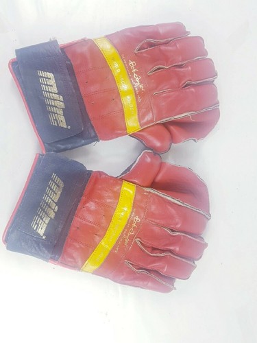 Pro century wicket - pro,